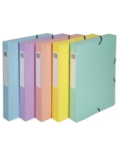 CARP.PROY.EXACOMPTA CARTON A4 2.5 cm SUR