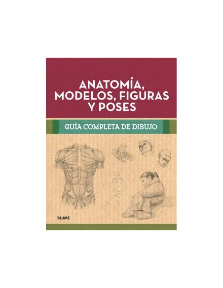 Guia completa dibujo Anatomia modelos figuras y poses