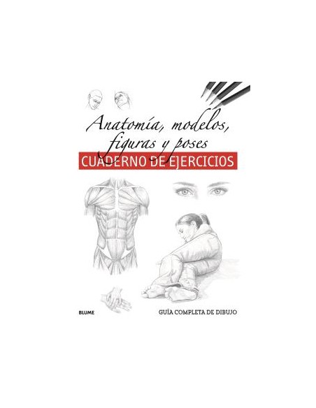 Guia completa dibujo Anatomia modelos figuras y poses ejercicios