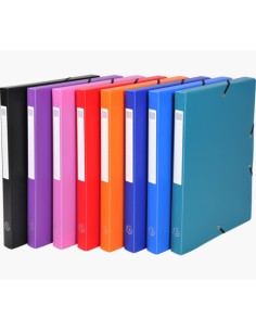 5960E archivador organizador Polipropileno (PP) Multicolor