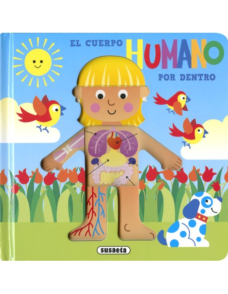 CUERPO HUMANO POR DENTRO EL