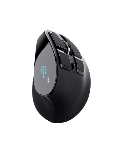 Voxx ratón mano derecha RF Wireless + Bluetooth Óptico 2400 DPI