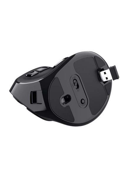 Voxx ratón mano derecha RF Wireless + Bluetooth Óptico 2400 DPI Voxx ratón mano derecha RF Wireless + Bluetooth Óptico 2400 DPI