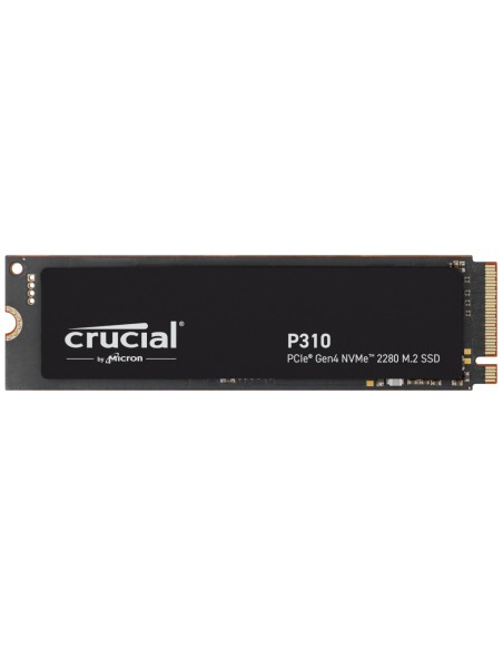 P310 1 TB M.2 PCI Express 4.0 NVMe