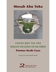 Las cosas que tal vez halles ocultas en mi oido