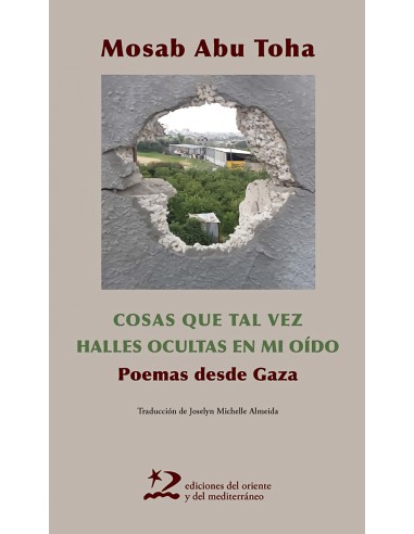 Las cosas que tal vez halles ocultas en mi oido