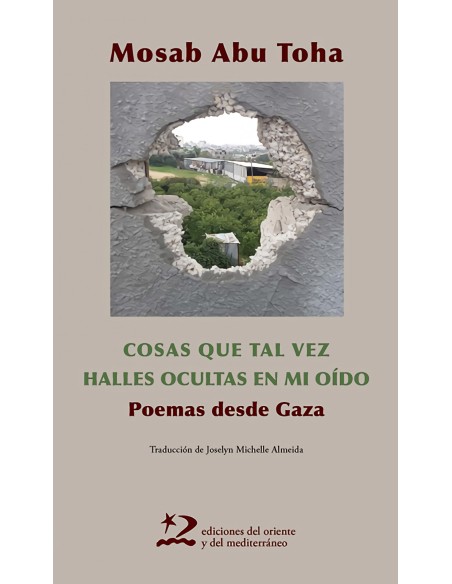 Las cosas que tal vez halles ocultas en mi oido