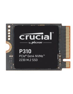 P310 2TB PCIe Gen4 NVMe 2230 M.2 SSD