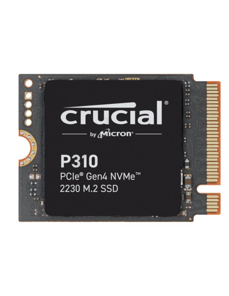 P310 2TB PCIe Gen4 NVMe 2230 M.2 SSD