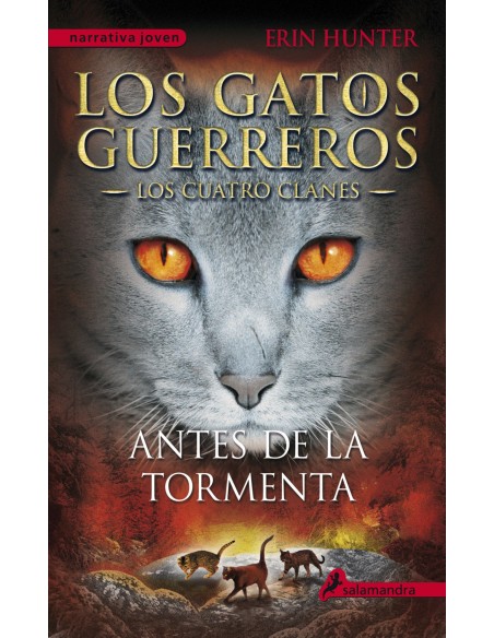 Antes de la tormenta