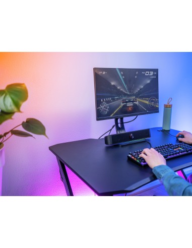 GXT 619 Thorne Negro 2.0 canales 6 W