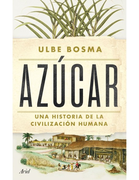 Azucar