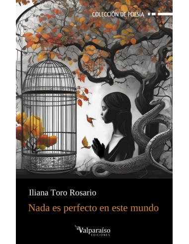 Nada es perfecto en este mundo