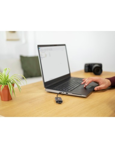 24136 lector de tarjeta USB 3.2 Gen 1 (3.1 Gen 1) Type-C Aluminio