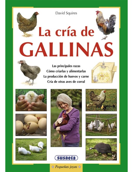 Cria de gallinas