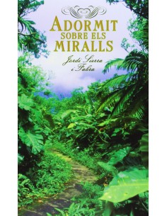 Adormit sobre els miralls