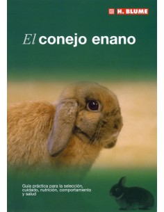 Conejo enano