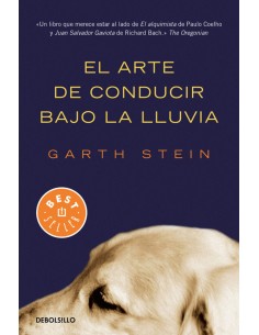 EL ARTE DE CONDUCIR BAJO LA LLUVIA