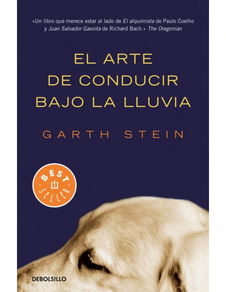 EL ARTE DE CONDUCIR BAJO LA LLUVIA