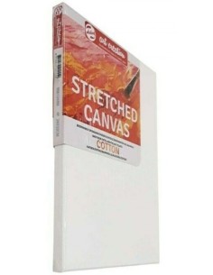 C 5 bastidor entelado tensado de algodon 12f 61x50 talens