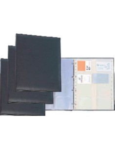 PAR TARJETERO PROFESIONA A4 NG 617501