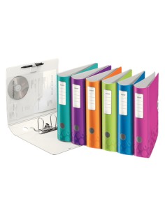 11060099 carpeta de cartón A4 Multicolor