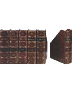 PAR REVISTERO PREMIER MARRON 235506