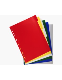 3006E divisor Polipropileno (PP) Multicolor