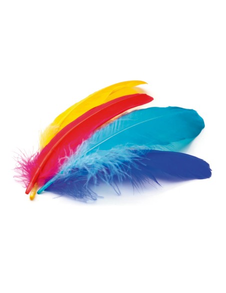 B.50U PLUMAS INDIO NIEFENVER 6 COLOR. STDO 0900208