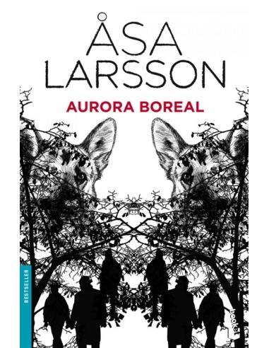 Aurora boreal