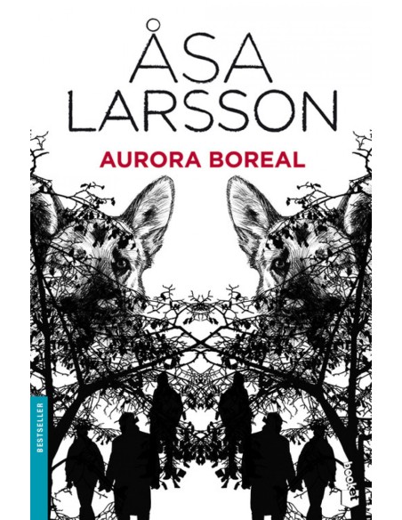 Aurora boreal