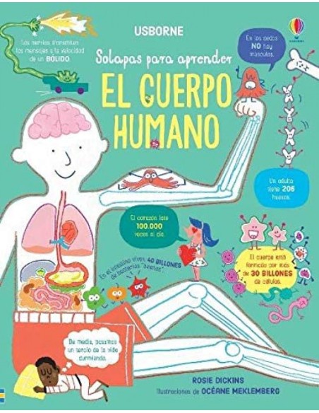 El cuerpo humano