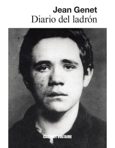 Diario del ladron