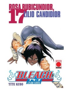 BLEACH BESTSELLER N 17