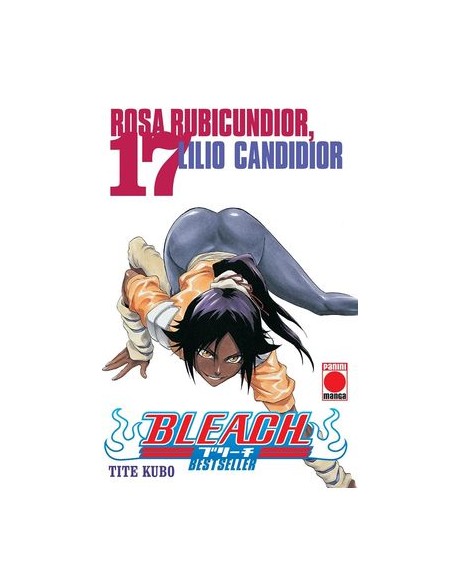 BLEACH BESTSELLER N 17