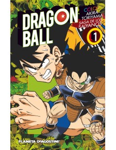 Dragon ball color