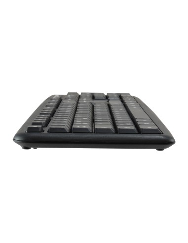 245201 teclado Ratón incluido USB QWERTY Español Negro