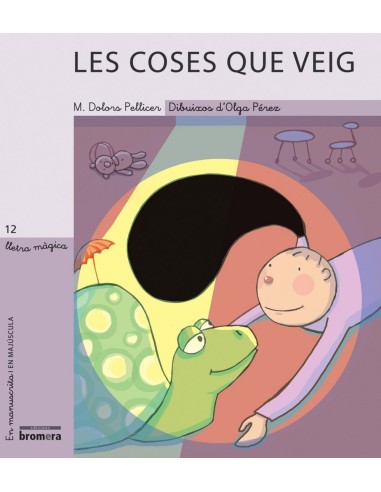 Les coses que veig