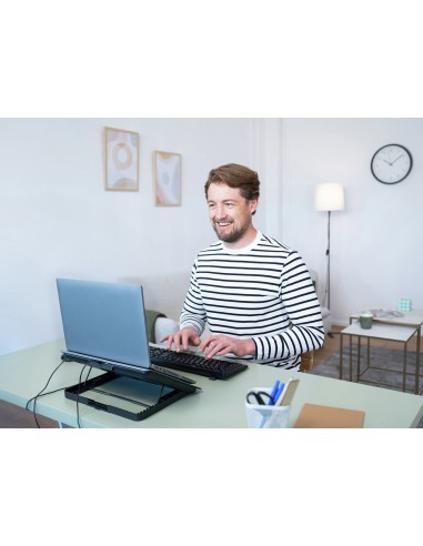 Exto almohadilla fría Gris