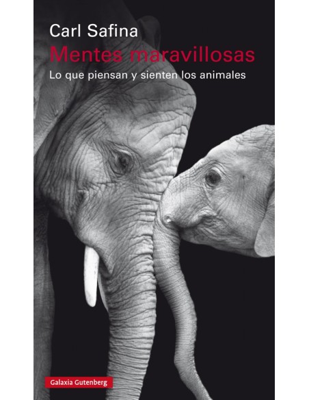 MENTES MARAVILLOSAS
