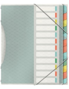 626256 lengüeta de índice Separador en blanco con pestaña Polipropileno (PP) Multicolor