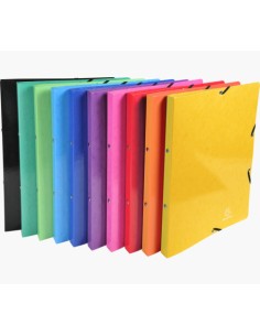 51829E carpeta de cartón A4 Multicolor