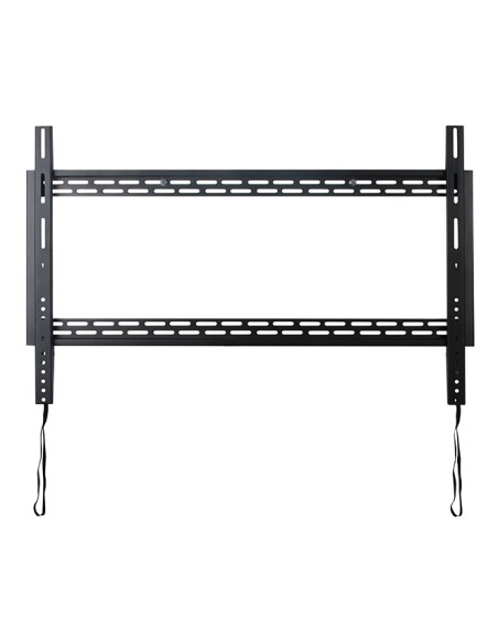 BT9901 165,1 cm (65") Negro