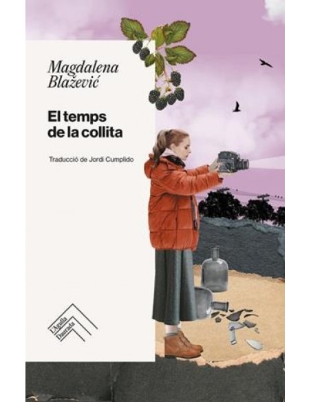 El temps de la collita