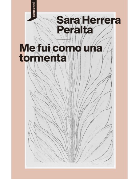 Me fui como una tormenta