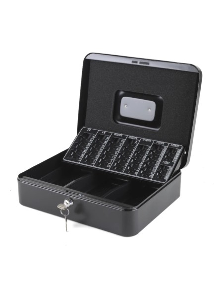 Caja de efectivo 3B + 8M 30 x 24 x 9 cm IRON-TINY