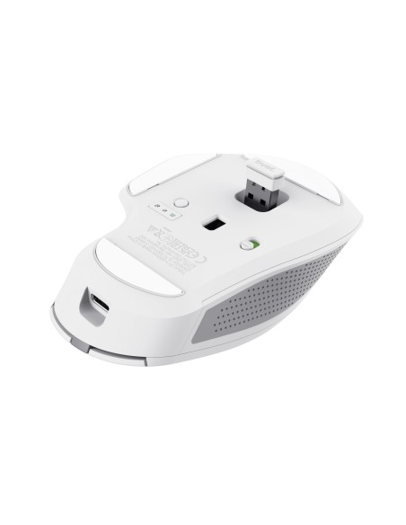 Ozaa+ ratón mano derecha RF Wireless + Bluetooth Óptico 3200 DPI Ozaa+ ratón mano derecha RF Wireless + Bluetooth Óptico 3200 DPI