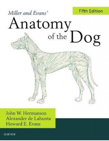 MILLERS ANATOMY OF THE DOG
