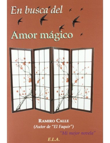 EN BUSCA DEL AMOR MAGICO