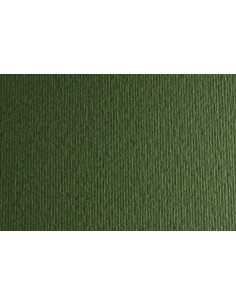 CARTULINA 50x70 FABRI. 220g LR VERD. P/2